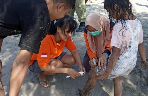 Serangan Ubur-ubur di Pantai Parangtritis, Ratusan Wisatawan Terluka